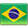Português Brasil